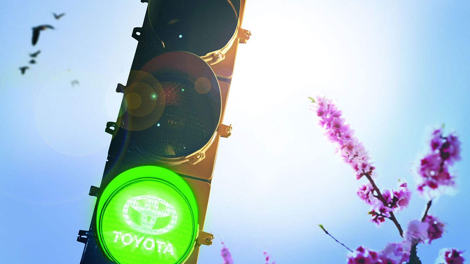 warranty_header_tcm_3046_246829