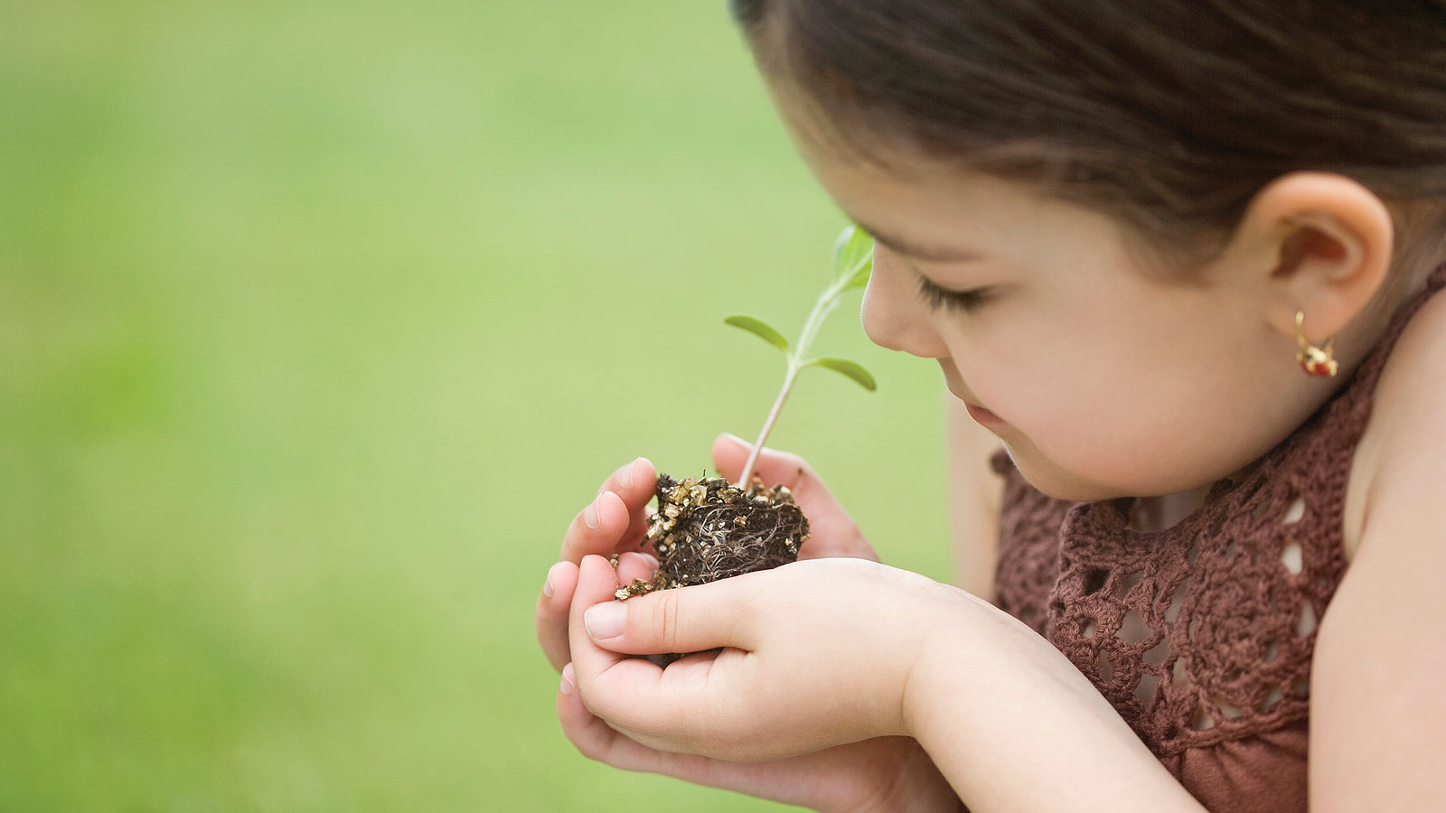 assistance_plus_header_tcm_3046_165516