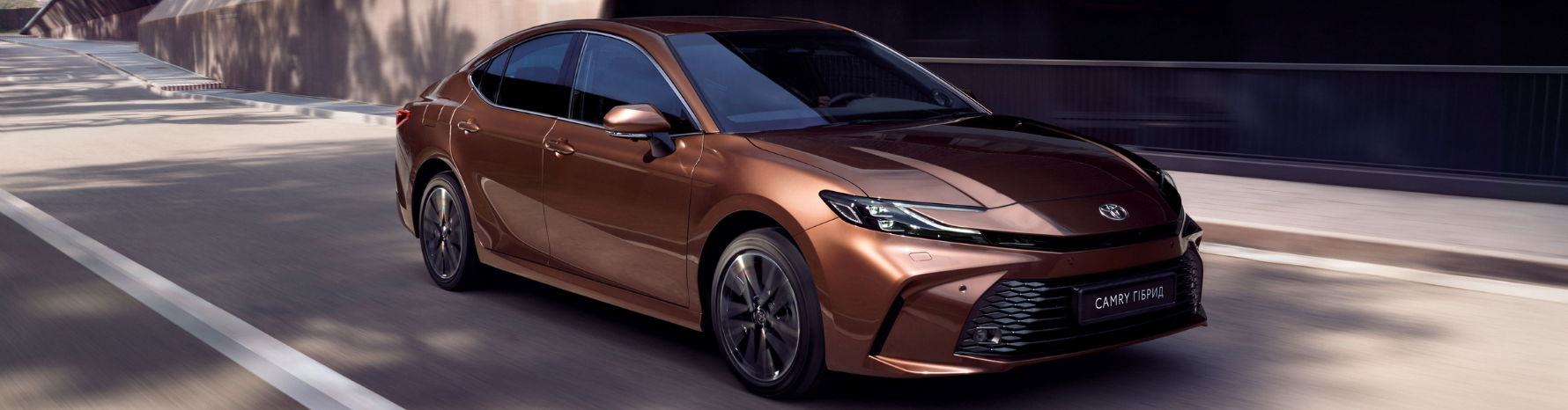 dizajn_bez_nazvania_2024_12_06t150805_356